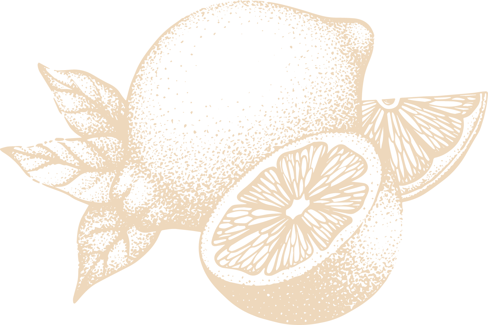Ilustración de un limón entero y una rodaja de limón, con hojas verdes, destacando su textura y detalles. Ideal para temas de cocina, recetas o alimentación saludable.