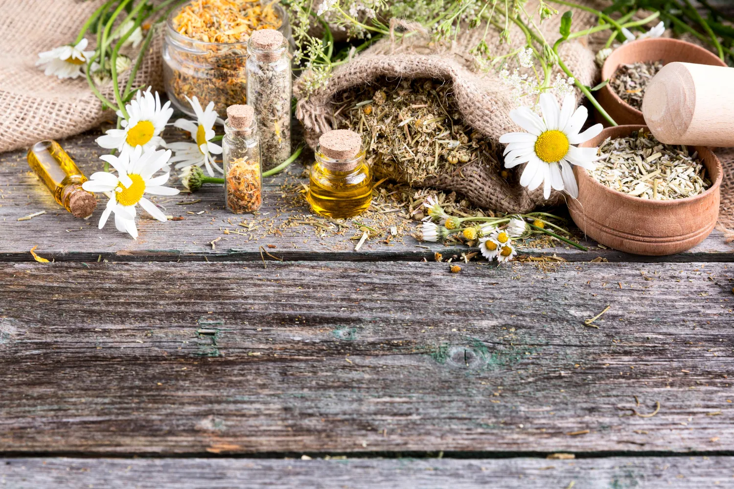 Imagen de hierbas secas, aceites esenciales y flores de manzanilla sobre una mesa de madera, con frascos de vidrio y recipientes de barro, ideal para ilustrar la herbolaria y la aromaterapia.